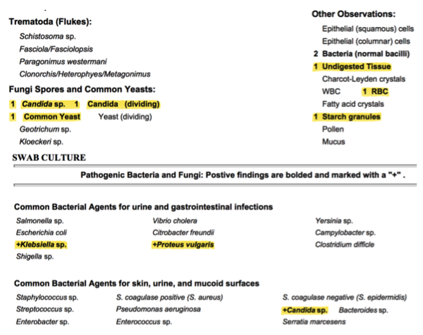 Nadir_Vian_Case_Study