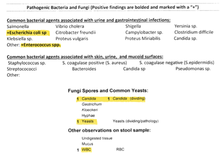 Richardson_Mel_Case_Study