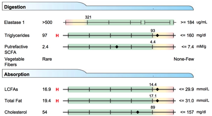 Riggott_C_Digestion