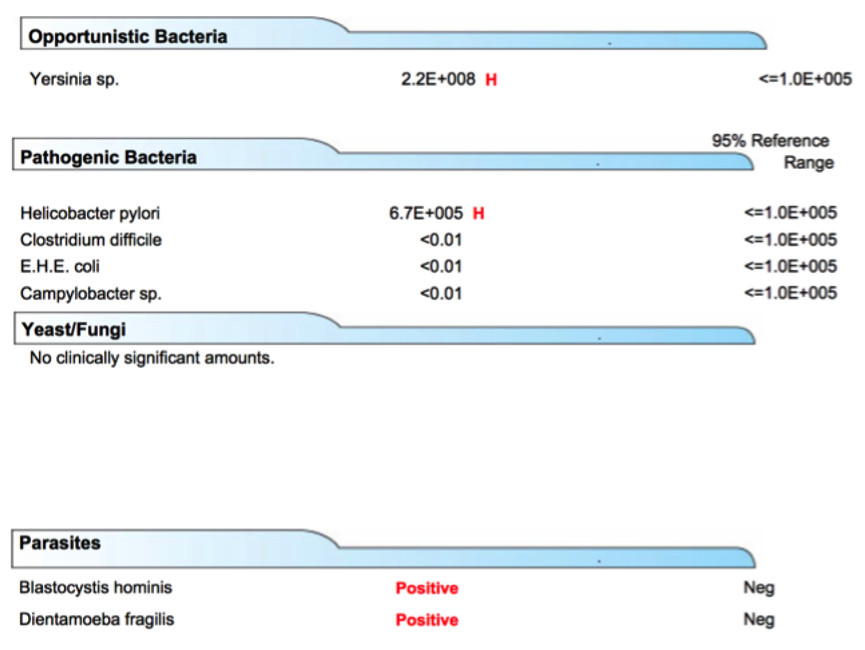 Riggott_Chris_Case_Study