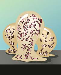 Biofilms